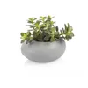 LARGE PLANT POT STONES, GREY