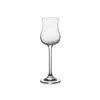GRAPPA/RUM GLASS
