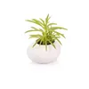 SMALL PLANT POT STONES, WHITE