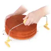 CAKE SLICER