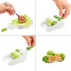 FORMA INVOLTINI