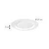 DINNER PLATE