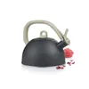 BOLLITORE