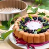 CAKE PAN