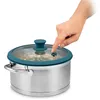 GLASS VACUUM LID