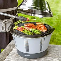 Barbecue e grigliate