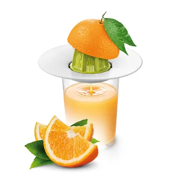 SPREMIAGRUMI / INFUSORE