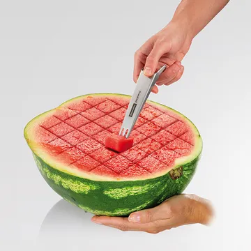 MELON PORTIONING TOOL