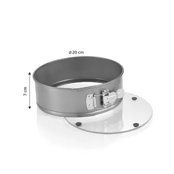 SPRINGFORM TART PAN
