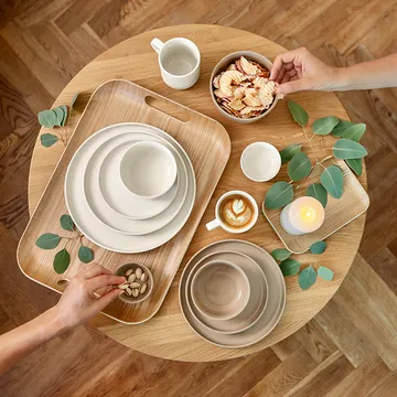 TRAY