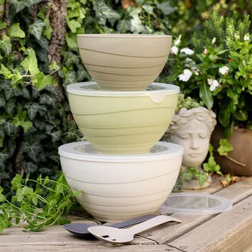 PLASTIC BOWLS WITH LIDS