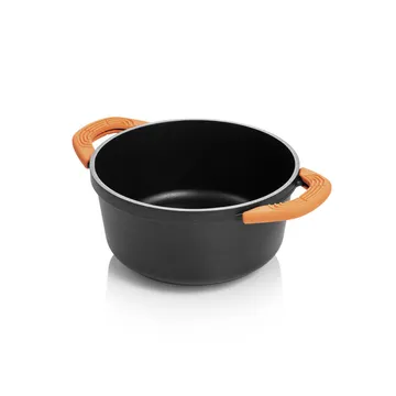 CASSEROLE