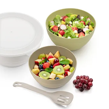 PLASTIC BOWLS WITH LIDS