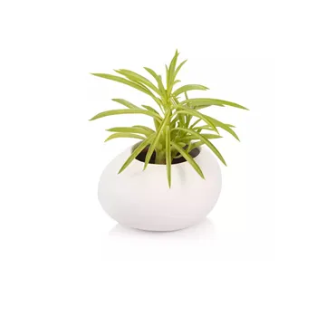 SMALL PLANT POT STONES, WHITE