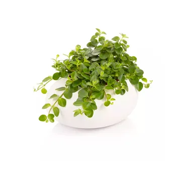 LARGE PLANT POT STONES, WHITE