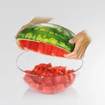 MELON PORTIONING TOOL
