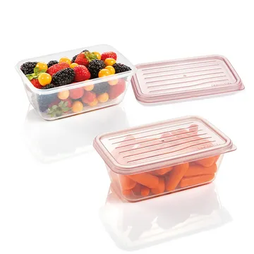 CONTENITORI CON COPERCHI