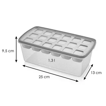 ICE MOULD WITH CONTAINER, CUBES
