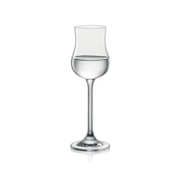 GRAPPA/RUM GLASS