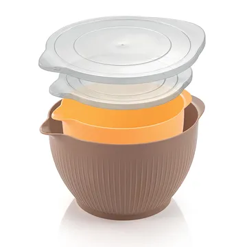 PLASTIC BOWLS WITH LID