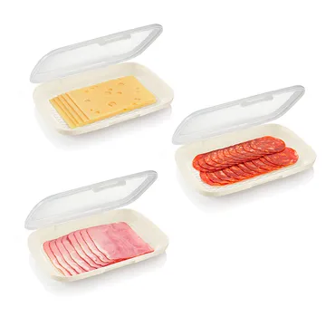HAM/CHEESE CONTAINER