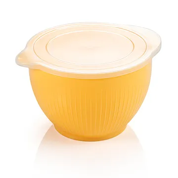 PLASTIC BOWLS WITH LID