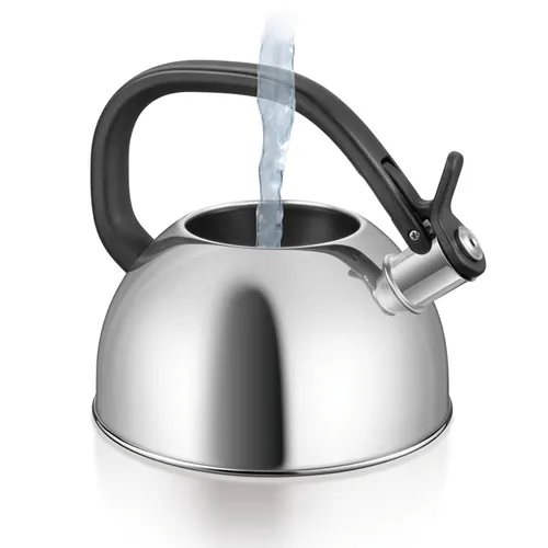 BOLLITORE, ACCIAIO INOSSIDABILE