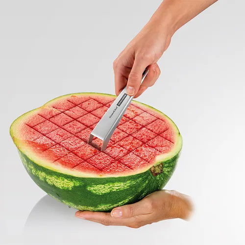 MELON PORTIONING TOOL