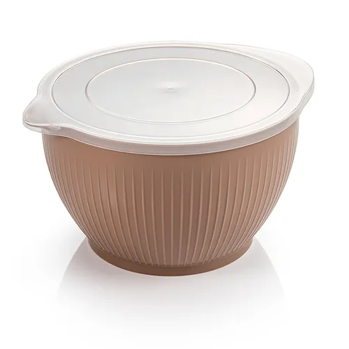 PLASTIC BOWLS WITH LID