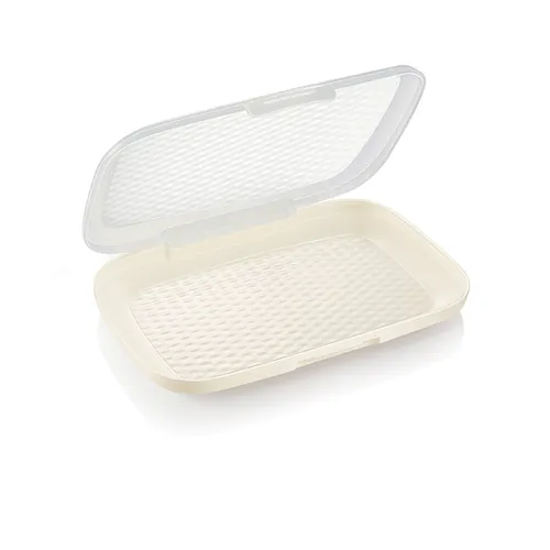 HAM/CHEESE CONTAINER