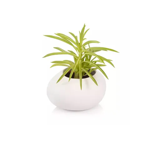 SMALL PLANT POT STONES, WHITE