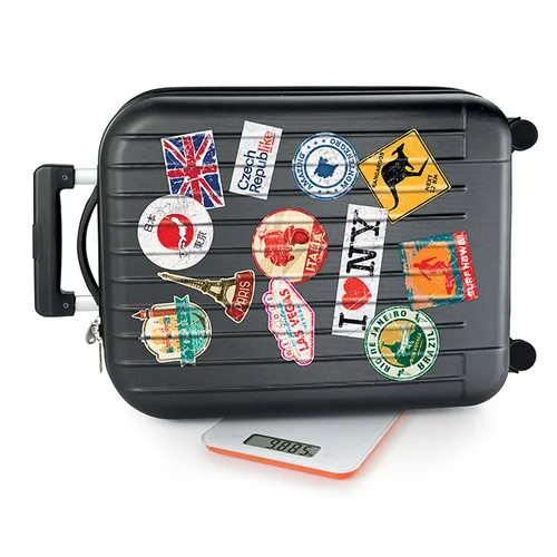 BILANCIA DIGITALE DA CUCINA 15 KG