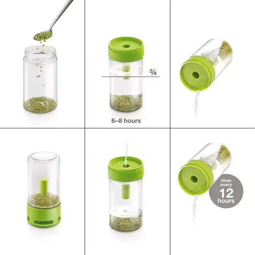 GLASS SPROUTING JAR