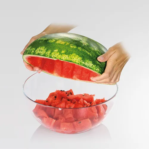 MELON PORTIONING TOOL