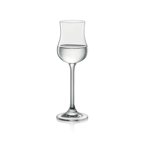 GRAPPA/RUM GLASS
