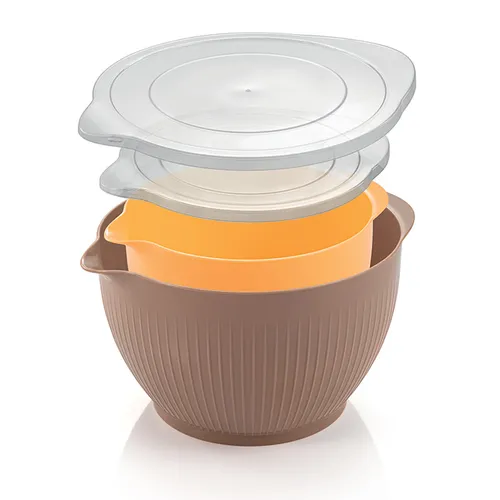 PLASTIC BOWLS WITH LID