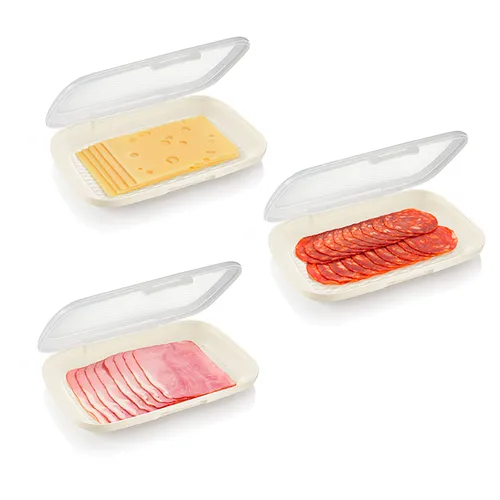 HAM/CHEESE CONTAINER