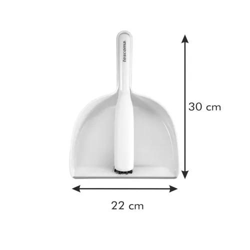 BRUSH WITH DUSTPAN