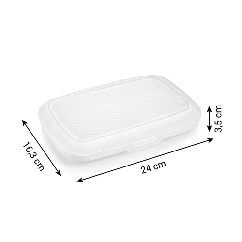 HAM/CHEESE CONTAINER