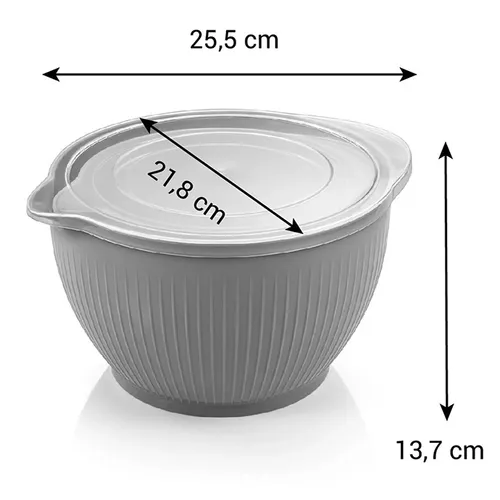 PLASTIC BOWLS WITH LID