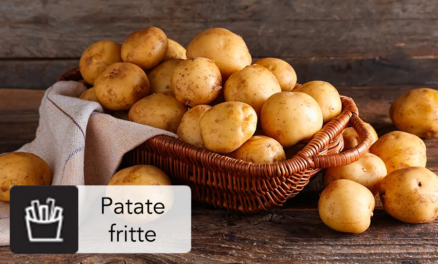 PROGRAM: FRENCH FRIES