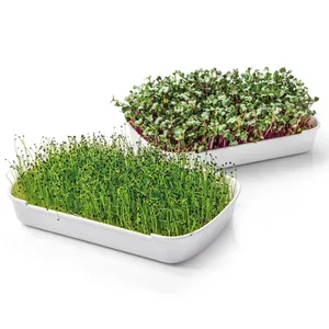 MICROGREENS GROWING SET
