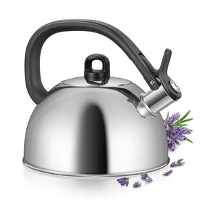 BOLLITORE, ACCIAIO INOSSIDABILE