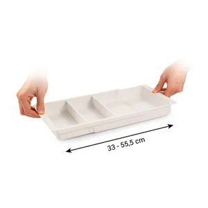EXTENDIBLE TRAY FOR THE DRAWER